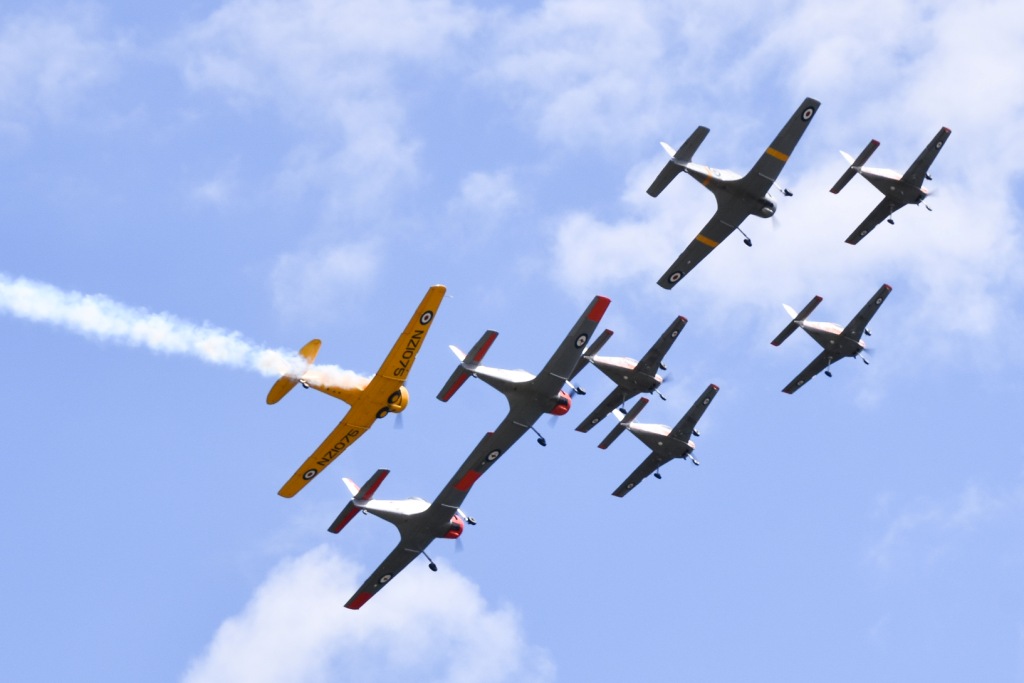 A formation of WWII era training aircraft